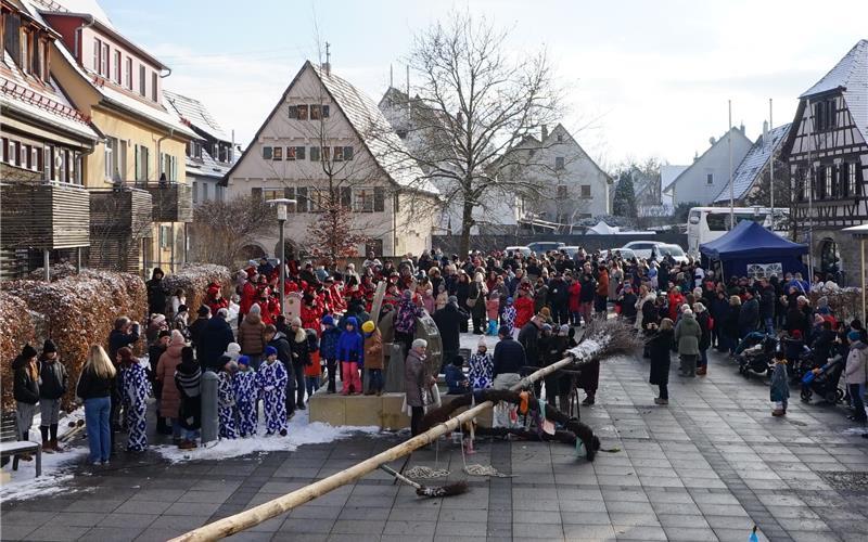 Auf dem Dorfplatz in Altingen wurde der Narrenbaum aufgestellt. GB-Foto: Straub