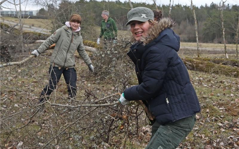 Auf dem Eisberg muss regelmäßig der Wald zurückgeschnitten werden. GB-Foto: up