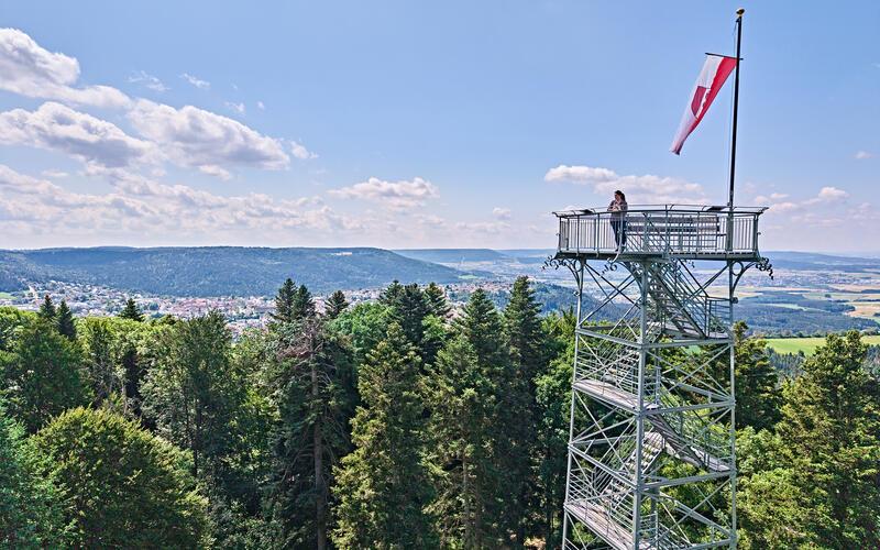 Auf dem Lembergturm: Weite Ausblicke. GB-Foto: TMBW/Gert Krautbauer