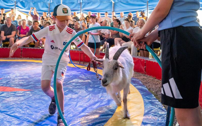 Auf dem Nebringer, Festplatz: Die Gäufeldener Kinder zeigen, was sie bei der Zirkusfreizeit gelernt haben. GB-Foto: Vecsey