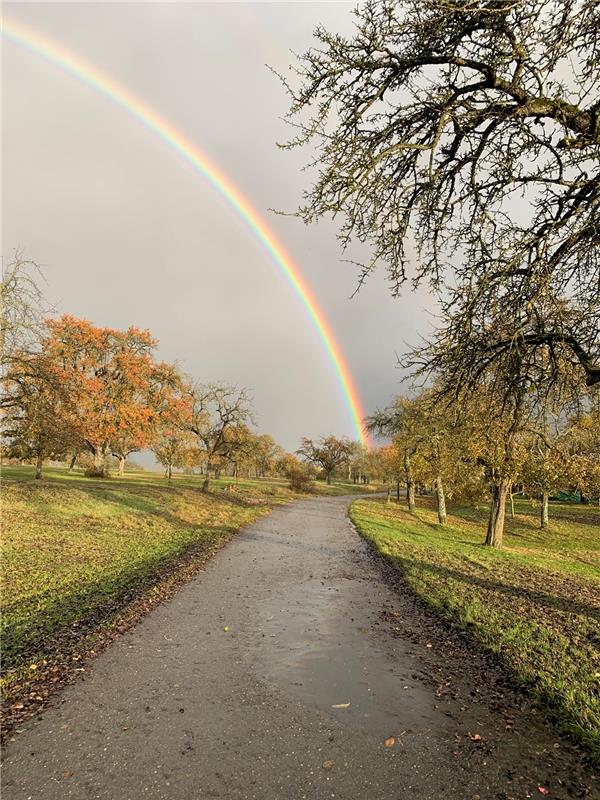 Auf dem Viehweg in Oberjesingen erblickte Brigitte Scherm diesen Regenbogen.