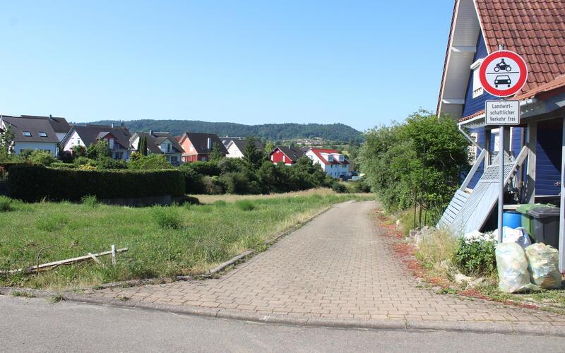 Auf dieser Wiese sollen bis Herbst 2027 neue Baugrundstücke erschlossen werden. GB-Foto: Schnurr