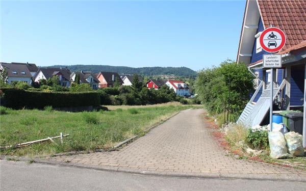 Auf dieser Wiese sollen bis Herbst 2027 neue Baugrundstücke erschlossen werden. GB-Foto: Schnurr