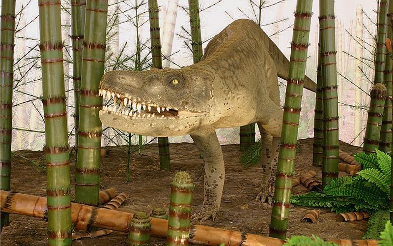 „Gäubote“-Familien-Tour: Ozeane, Wüsten, Dschungel und Dinofunde erleben Auf wissenschaftlicher Basis rekonstruierte Sauriermodelle stehen im Museum am Löwentor. GB-Foto: Naturkundemuseum R. Pfisterer