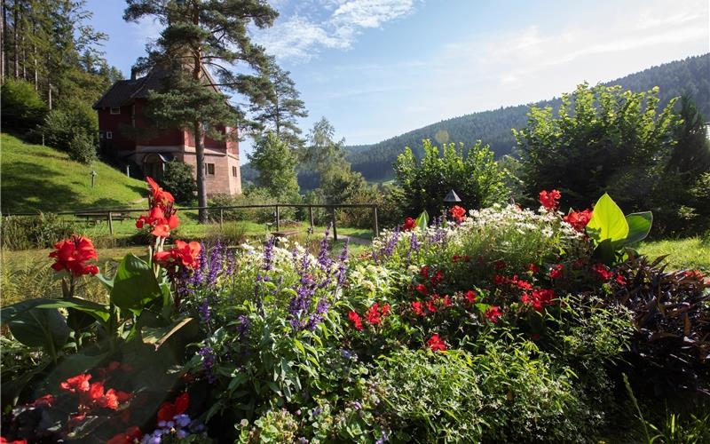 „Gäubote“-Familientour: Üppige Blumenpracht im Schwarzwaldtal Auf zur Landesgartenschau nach Freudenstadt und Baiersbronn: Tal X 2025. GB-Foto: ©Ulrike Klumpp