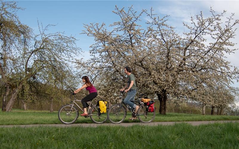 Aufs Rad steigen und zum Klimaschutz beitragen. GB-Foto: Vecsey