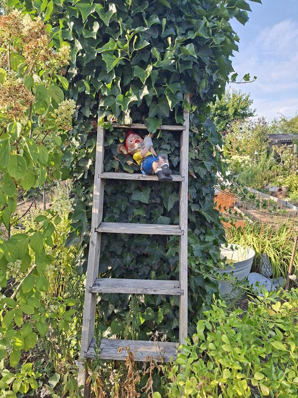 Aufstieg vertagt – heute ist Pause.  Von Maria Tabitha Weisse aus Herrenberg.
