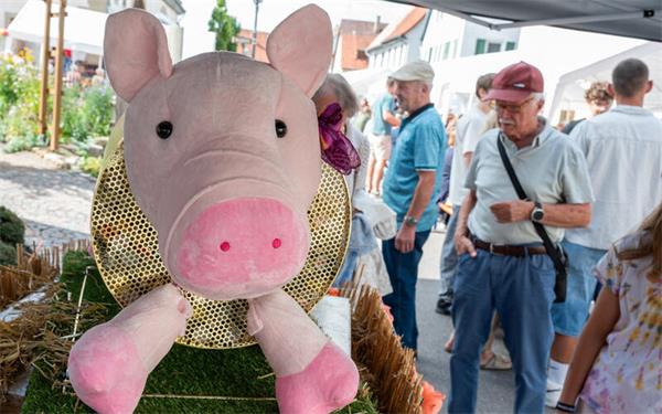 Aus Gründen des Tierschutzes war diesmal kein echtes Schwein vor Ort, sondern „Jolanthe 2.0“. GB-Foto: Vecsey