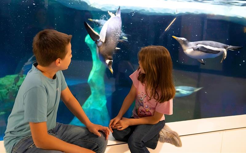 „Gäubote“-Familien-Tour: Tierisch spannende Unterwasserwelt