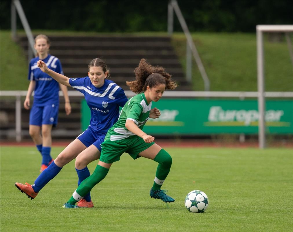B-Mädchen des VfL Herrenberg spielten in der Saison 2018/19 erstmals in der Verb...