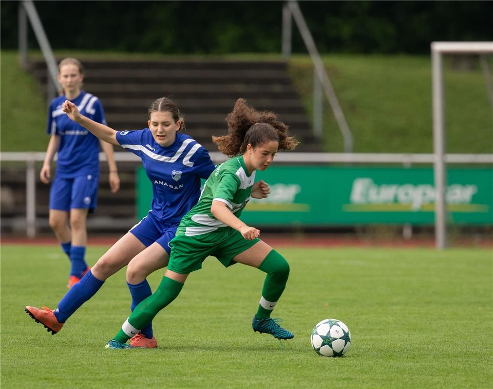 B-Mädchen des VfL Herrenberg spielten in der Saison 2018/19 erstmals in der Verb...