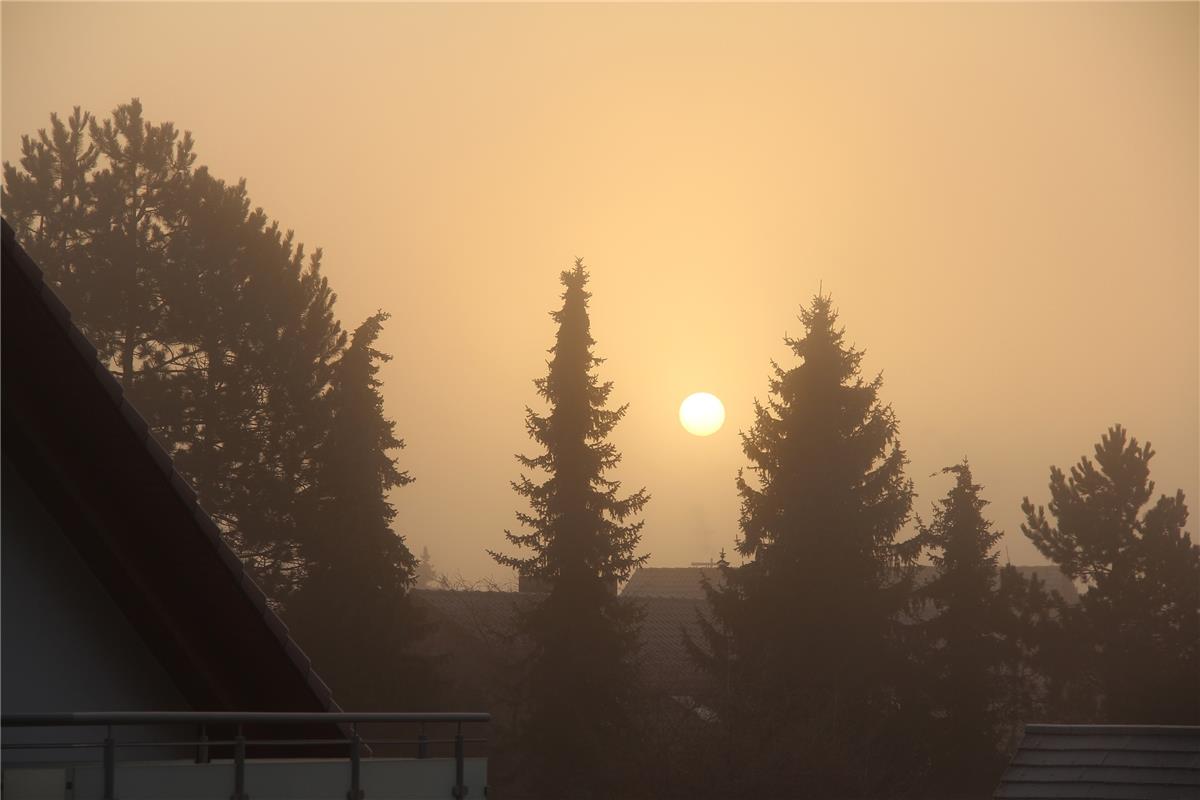 Barbara Graf  aus Herrenberg  hat den Sonnenaufgang über dem Ehbühl festgehalten...