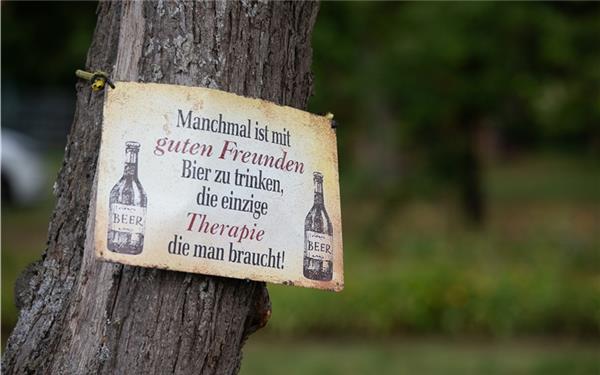 Baumphilosophie (gesehen in Haslach)GB-Foto: Schmidt