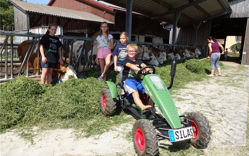 „Papa und Mama arbeiten zu Hause und sind immer da“ Begeistertvom Landleben (von links): Anna (mit Kuh Roxi), Naemi, Eva-Maria und Boas.Christa Rinderknecht füttertdie TiereGB-Foto: kr