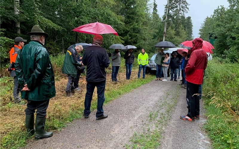Bei Regen ging’s für den Jettinger Gemeinderat mit Revierförster Ulrich Alber zum Waldbegang. GB-Foto: gb