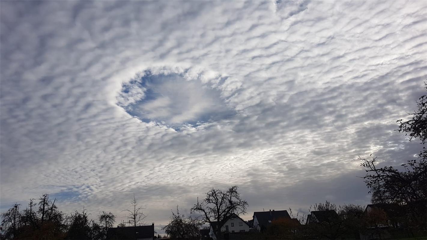 Bei einem Spaziergang vom Nebringer Sportplatz in Richtung Öschelbronn fiel mir ...