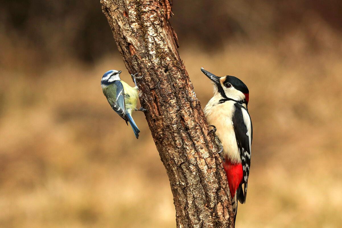 Beim Frühstücken ...  Von Natalie Politz aus Hildrizhausen.