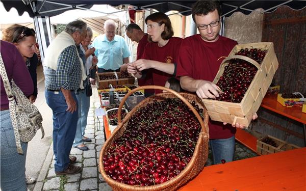 Beim Kirschenfest des OGV in Mönchberg, hier im Bild, und auch in Kayh gehen viele Früchte über den Tresen. GB-Foto: Schmidt