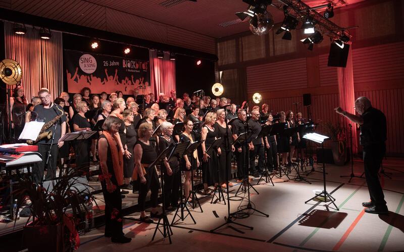Beim Konzert „Sing a Song“ geben die „Blackbirds“ Jettingen alles.GB-Foto: Schmidt