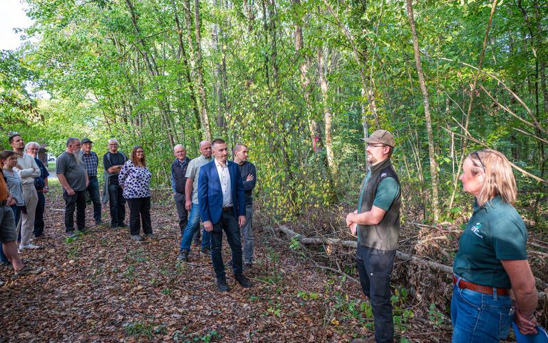 Beim Waldbegang: Bürgermeister Jan-Benedikt Thoma (Bildmitte) und der Gemeinderat lauschen Forstbetriebsleiterin Alexandra Radlinger und Revierförster Luca Schmid (von rechts).GB-Foto: Nüssle