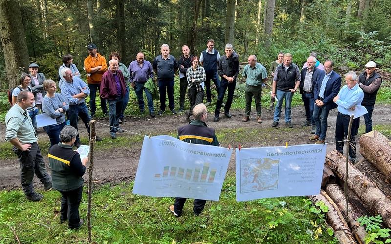 Beim Waldbegang machte sich der Wildberger Gemeinderat nochmals ein Bild vom Waldzustand, bevor er die Forsteinrichtung der kommenden zehn Jahren beschloss. GB-Foto: Priestersbach