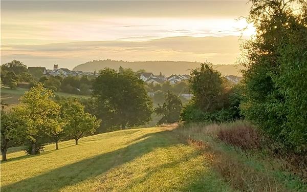 Belichtung und Farben wie gemalt – morgens mit dem Hund mit Blick in die Natur(fotografiert von Barbara Winterhalter aus Herrenberg)