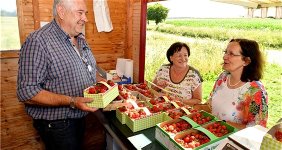 Wetterextreme sorgen für eine kurze Saison Betreiben den Erdbeeranbau seit 17 Jahren: Hans und Gerda Gölz (von links)GB-Foto: Holom