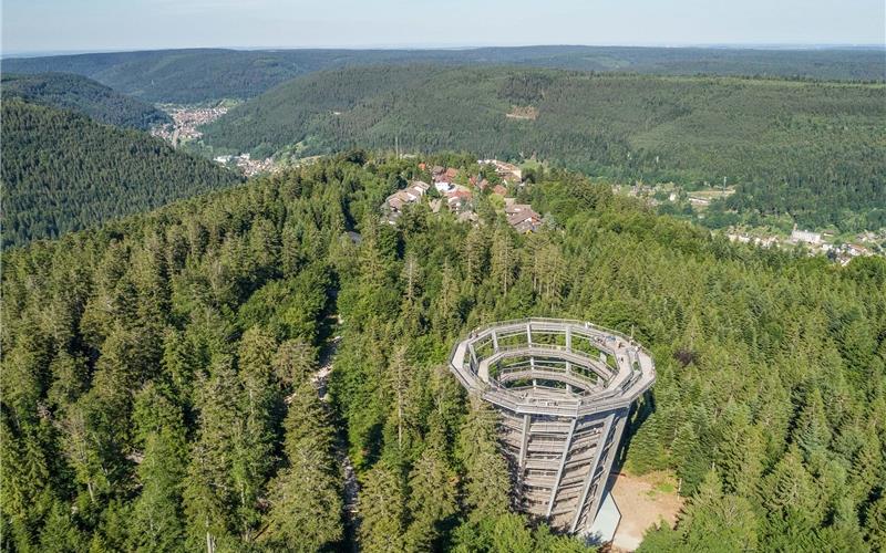 Den Schwarzwald von
oben ganz neu erleben Bietet in allen Zeiten einen imposanten Überblick über den Schwarzwald: Der Baumwipfelpfad GB-Foto: gb