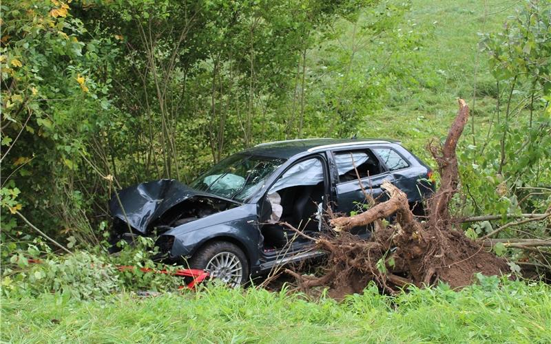 Aus der Kurve geflogen
und gegen Baum geprallt