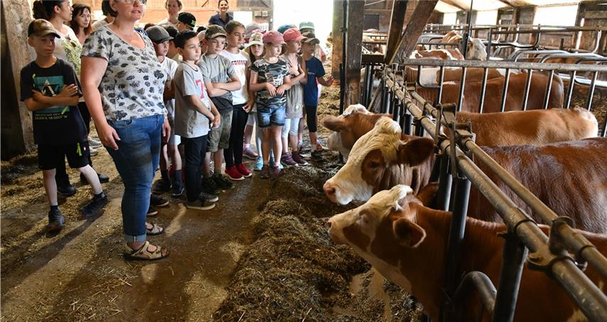 Lernort Bauernhof – eine Erfahrung für alle Sinne 