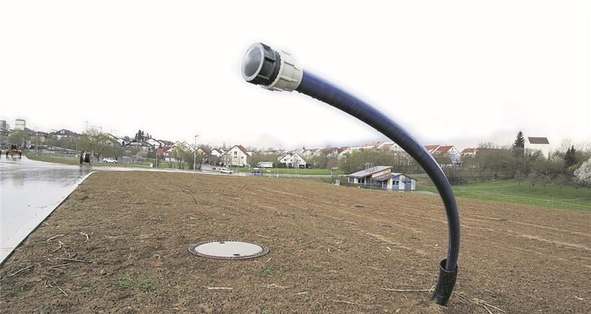 Bodenqualität von Äckern lässt sich verbessern 