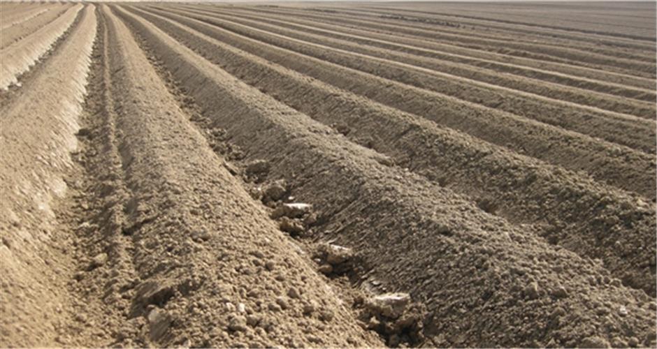 Bodenqualität von Äckern lässt sich verbessern 