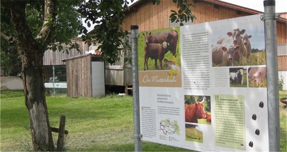 Woher stammt das Schäfchenzählen? 