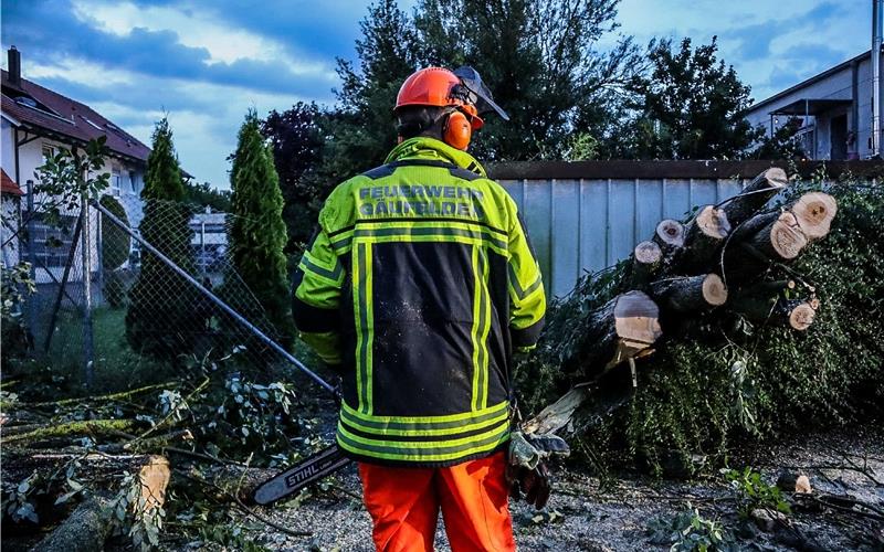 Sturm am Montagabend: Dächer abgedeckt - Baum stürzt auf Firmengebäude Sturm am Montagabend: Dächer abgedeckt - Baum stürzt auf Firmengebäude