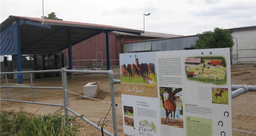 Woher stammt das Schäfchenzählen? 