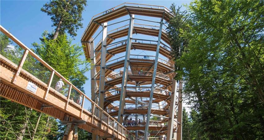 „Gäubote“-Familientour: Der besondere Kick auf dem Baumwipfelpfad in Bad Wildbad 