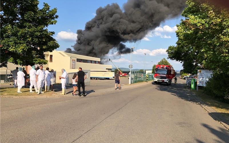 Großbrand bei der Fleisch- und Wurstfabrik Meister in Nebringen