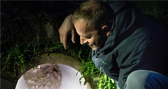 Das Ende der Artenvielfalt?