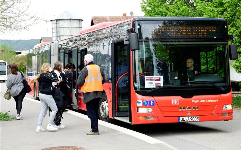 Busfahrer des Jahres gesucht Busfahrer des Jahres gesucht