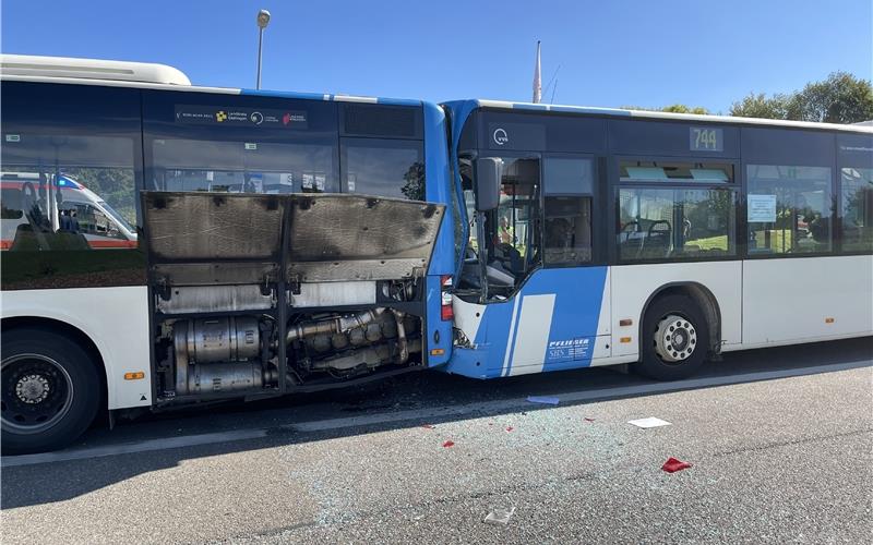 Vier Kinder bei Unfall verletzt