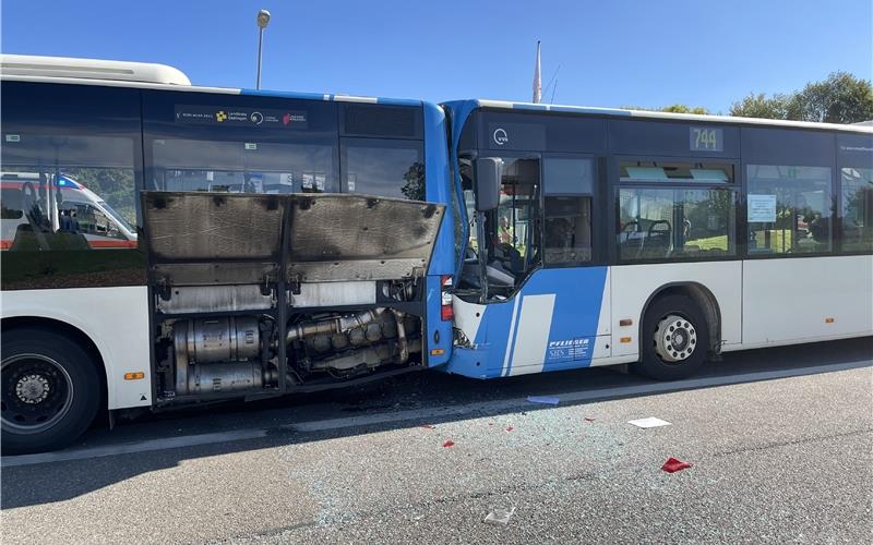 Vier Kinder bei Unfall verletzt Vier Kinder bei Unfall verletzt