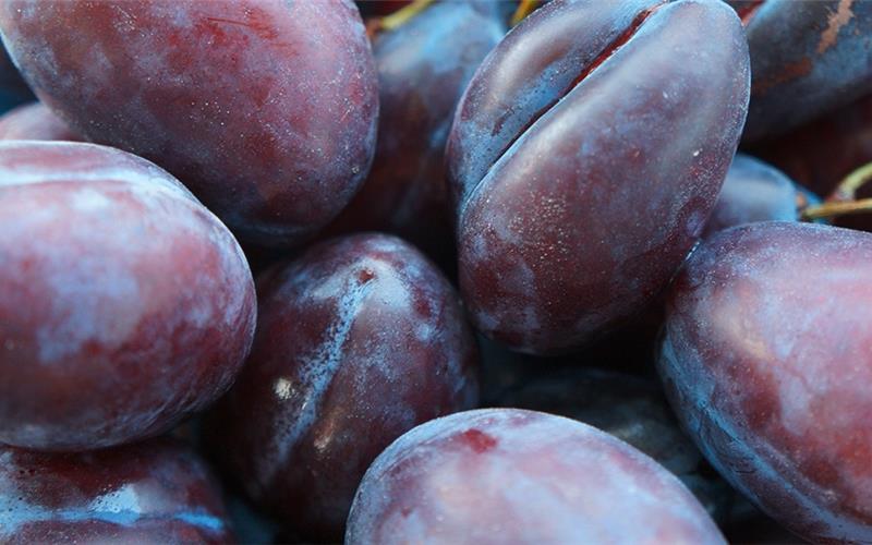 Polizei: Diebstahl auf der Obstwiese ist kein Kavaliersdelikt Polizei: Diebstahl auf der Obstwiese ist kein Kavaliersdelikt