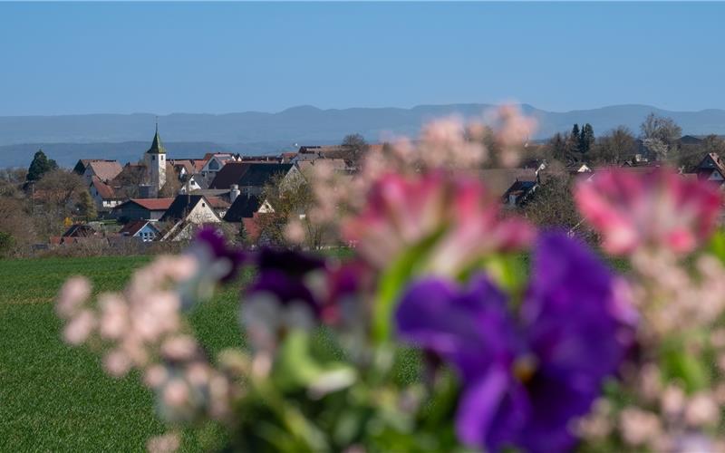 1250 Jahre Haslach: Heute Abend Auftakt des Festwochenendes mit Festakt 1250 Jahre Haslach: Heute Abend Auftakt des Festwochenendes mit Festakt