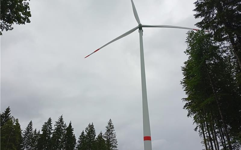 Infomesse zum geplanten Windpark im Bereich Calw/Gechingen/Wildberg Infomesse zum geplanten Windpark im Bereich Calw/Gechingen/Wildberg