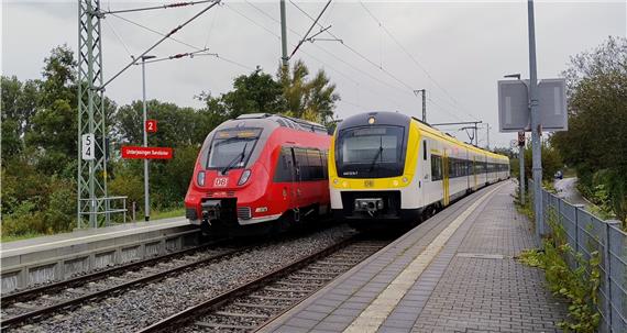 Ammertalbahn auf der Insel richtig pünktlich