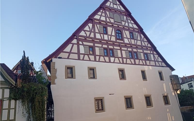 „Das ist doch der reinste Wahnsinn“