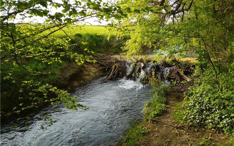 Wasserstände stark gesunken