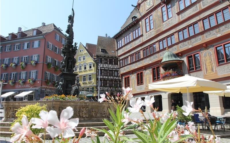 Nach Intervention von Einzelhändlern und Oberbürgermeister: AfD sagt Demonstration in Tübingen ab