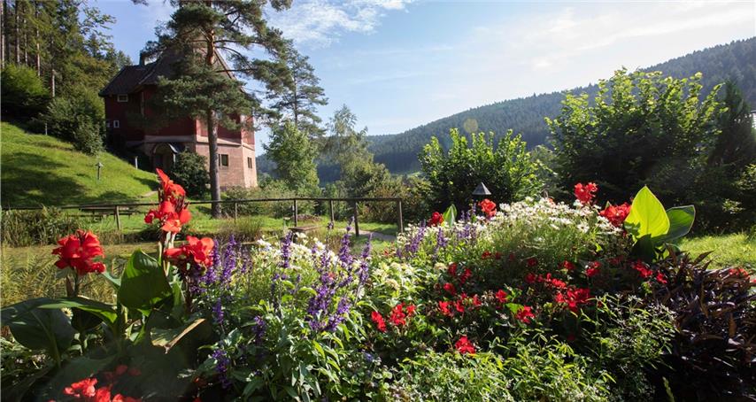 „Gäubote“-Familientour: Üppige Blumenpracht im Schwarzwaldtal 