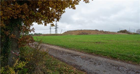 Dämpfer für Goldgräberstimmung